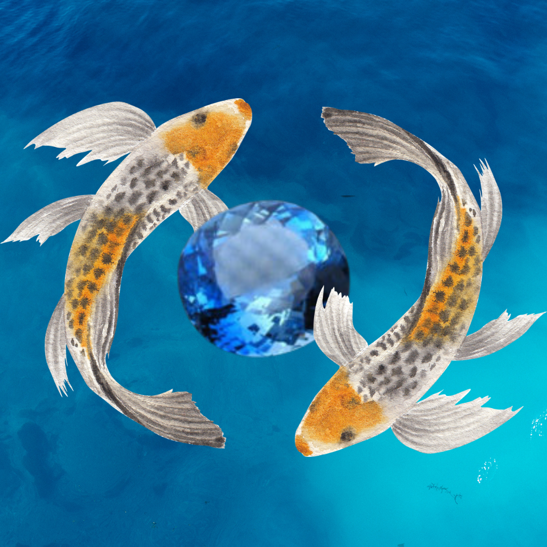 Two black spotted gold and white koi fish encircle a round cut aquamarine, dark blue in color